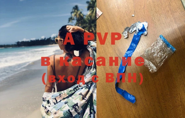 спиды Абаза