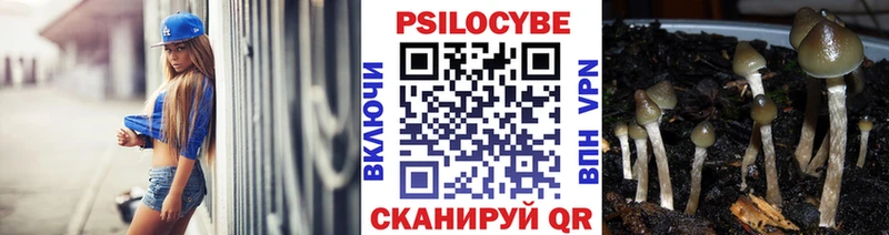Галлюциногенные грибы мицелий  MEGA зеркало  Опочка 